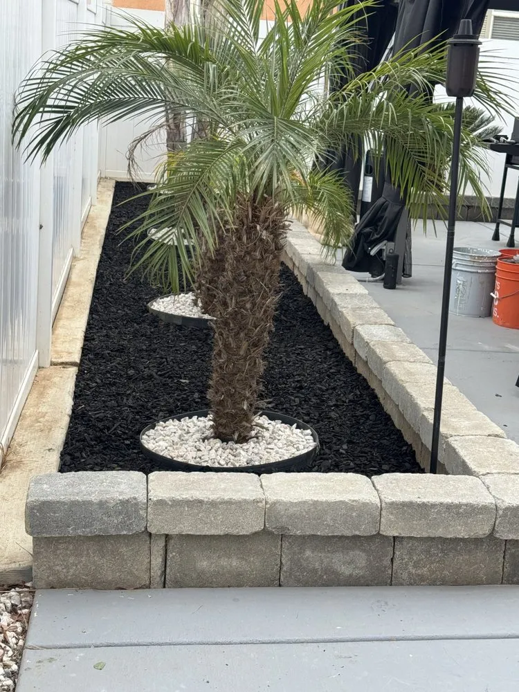 Custom yard maintenance near you in Corona, CA by Jaxon Landscape Services