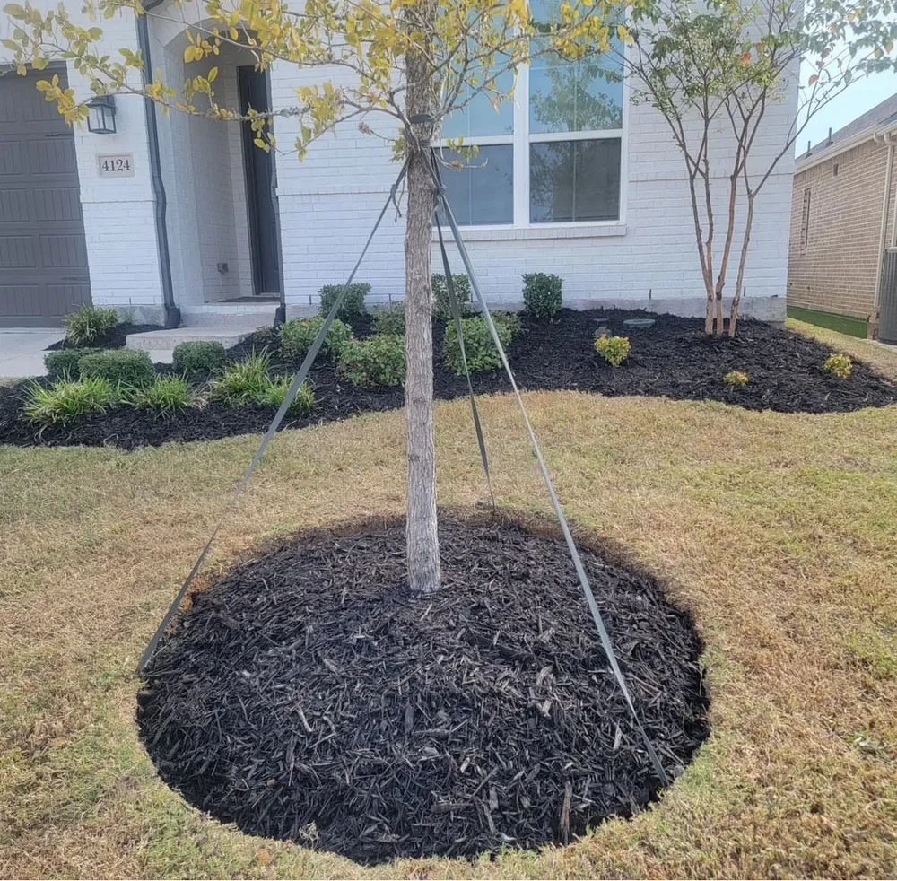 Affordable outdoor landscaping for homes in Mooresville, NC by Jax’s Lawn Care