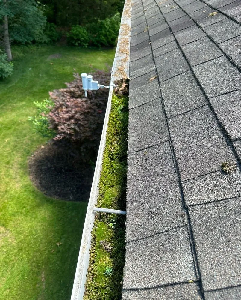 Expert lawn care service in Mooresville, NC - Jax’s Lawn Care