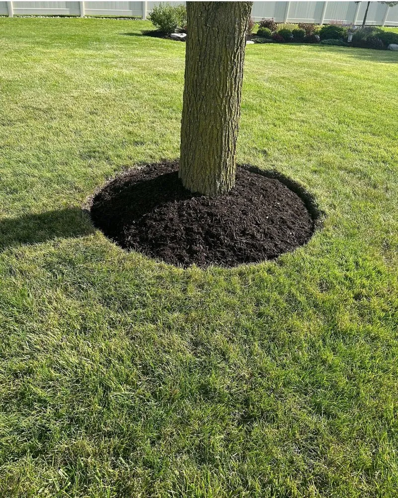 Trusted lawn mowing service for outdoor upgrades in Mooresville, NC by Jax’s Lawn Care