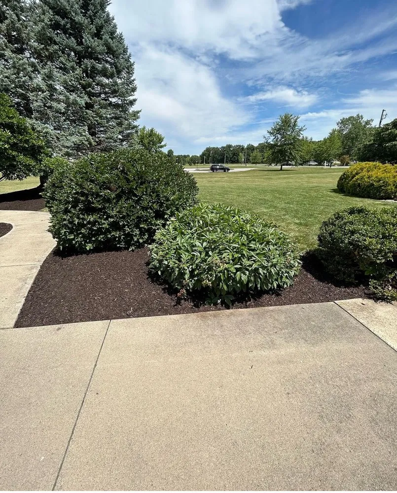 Professional outdoor landscaping in Mooresville, NC by Jax’s Lawn Care