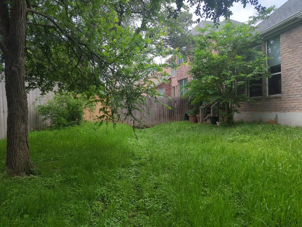 Local garden landscaping in Round Rock, TX by Jaxsons lawn and Home service