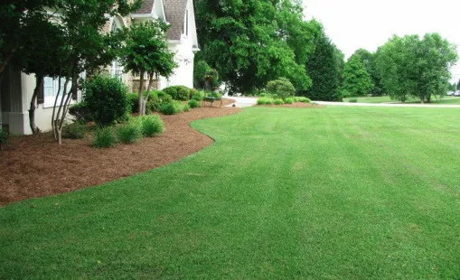 Top-rated landscape design for residential properties across Shallotte, NC - Jay & J Landscape
