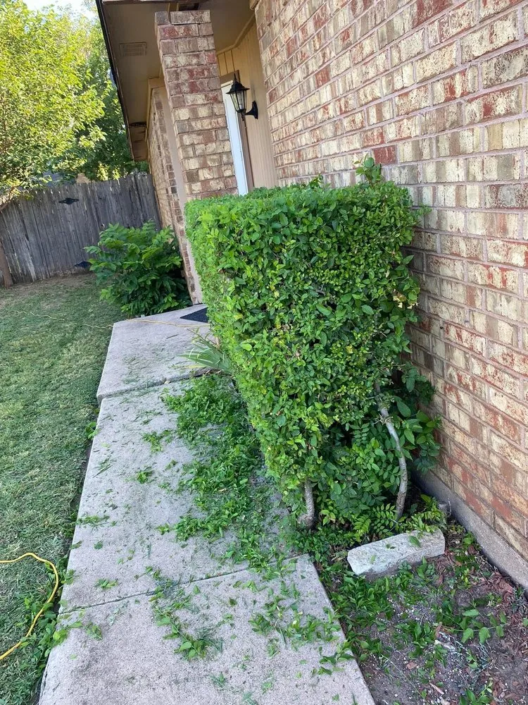 Local yard maintenance in Abilene, TX by Jay & Mike’s Lawncare