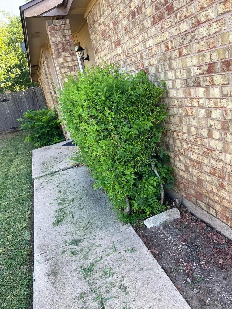 Trusted garden landscaping near you in Abilene, TX by Jay & Mike’s Lawncare