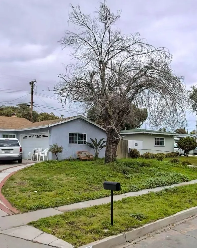 Expert residential landscaping for homes across Upland, CA - Jay And Jetts Landscape Desighn And More