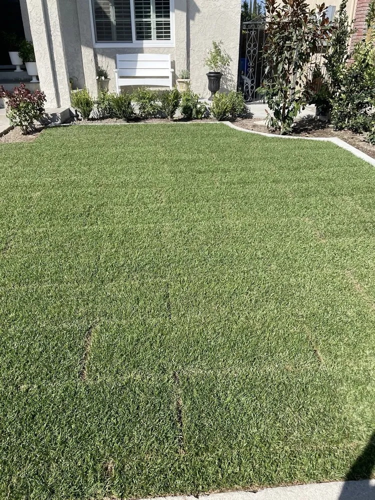 Professional landscape installation in Buena Park, CA by Jay Boyer Construction