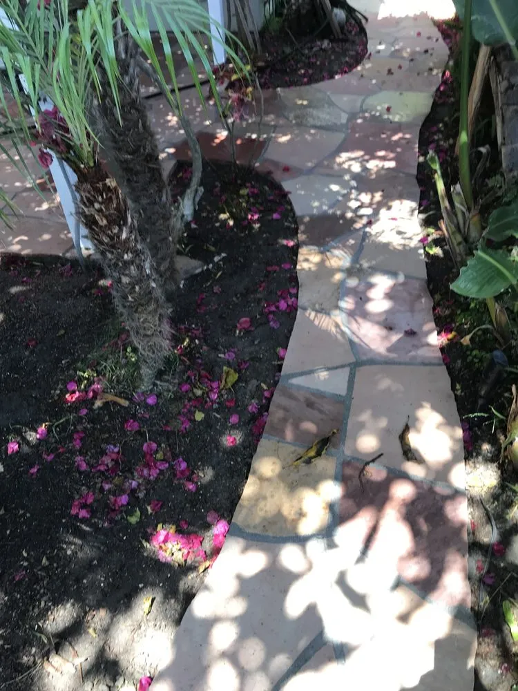 Professional yard cleanup service for year-round maintenance in Buena Park, CA by Jay Boyer Construction
