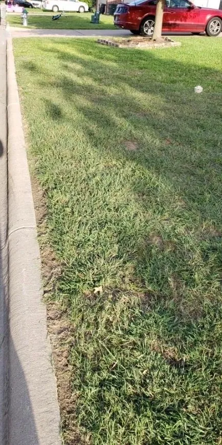 Expert landscaping services experts serving Temple, TX - Jay Bs Lawn Care