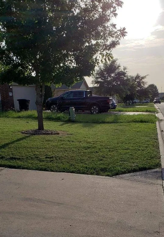 Affordable lawn care service in Temple, TX - Jay Bs Lawn Care