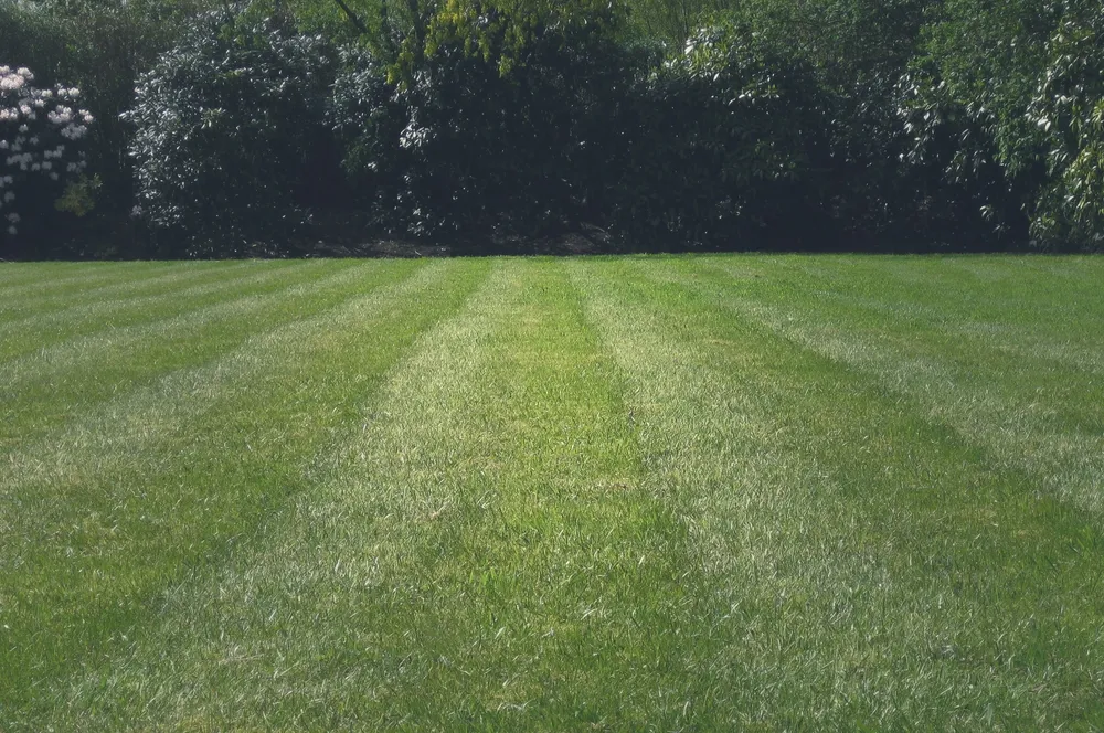 Affordable landscape installation with custom design in Temple, TX by Jay Bs Lawn Care