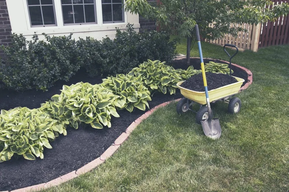 Professional outdoor landscaping in Temple, TX - Jay Bs Lawn Care