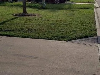 Custom landscape design experts serving Temple, TX - Jay Bs Lawn Care