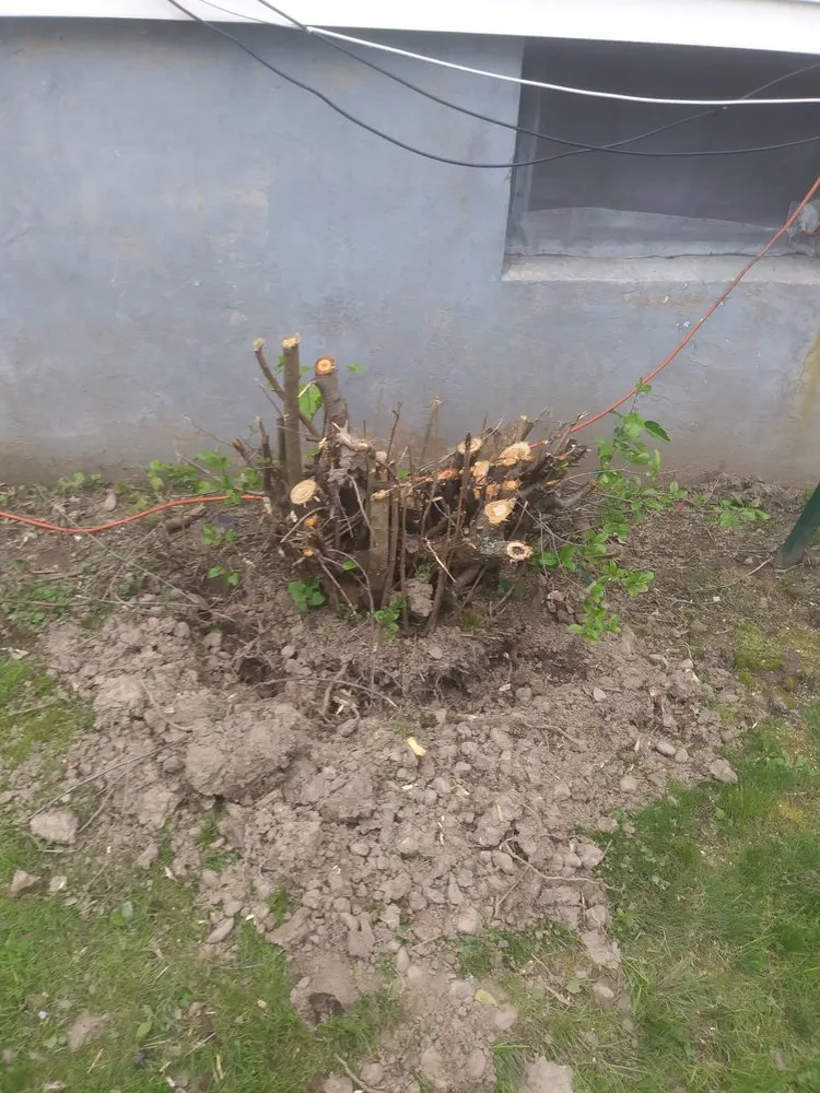 Reliable lawn mowing service in East Hartford, CT - Jay C Lawn Service