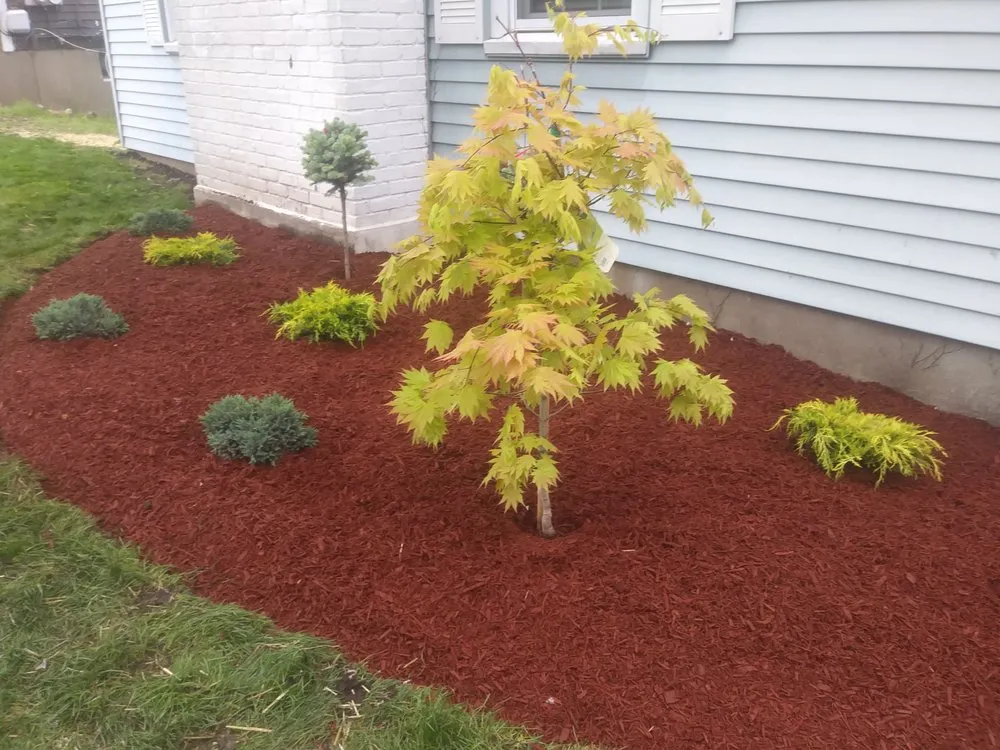 Local yard maintenance near you across East Hartford, CT - Jay C Lawn Service