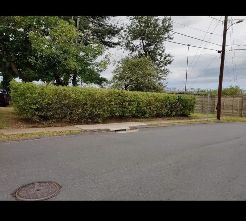 Affordable lawn mowing service experts serving East Hartford, CT - Jay C Lawn Service