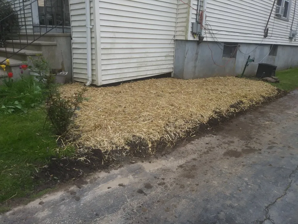 Top-rated landscaping services experts serving East Hartford, CT - Jay C Lawn Service