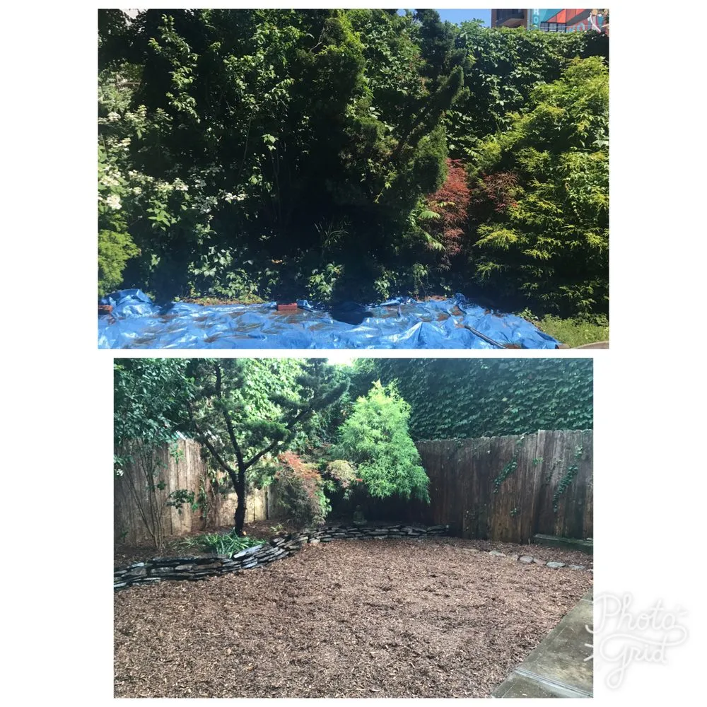 Affordable yard maintenance for homes across Brooklyn, NY - Jay Gardens