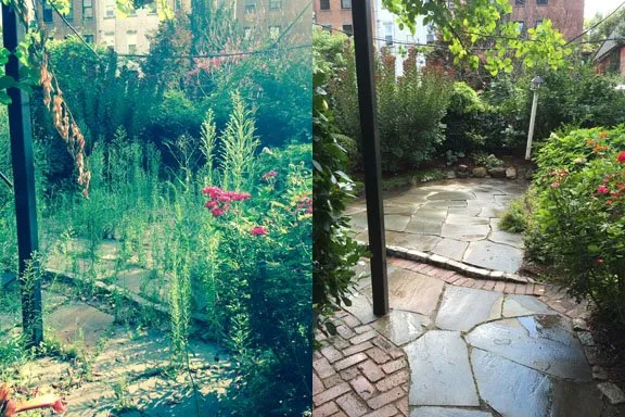 Affordable landscape installation in Brooklyn, NY by Jay Gardens