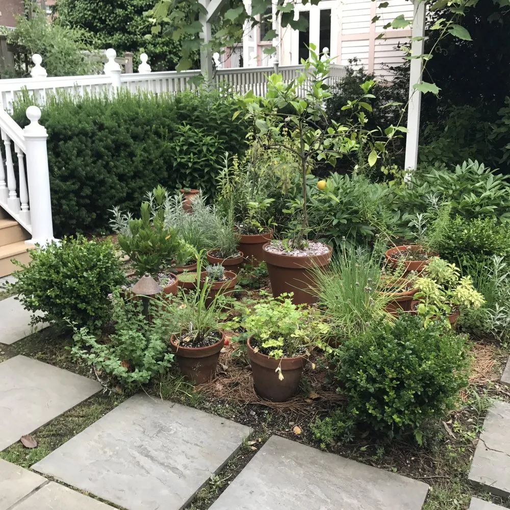 Affordable lawn care service in Brooklyn, NY - Jay Gardens