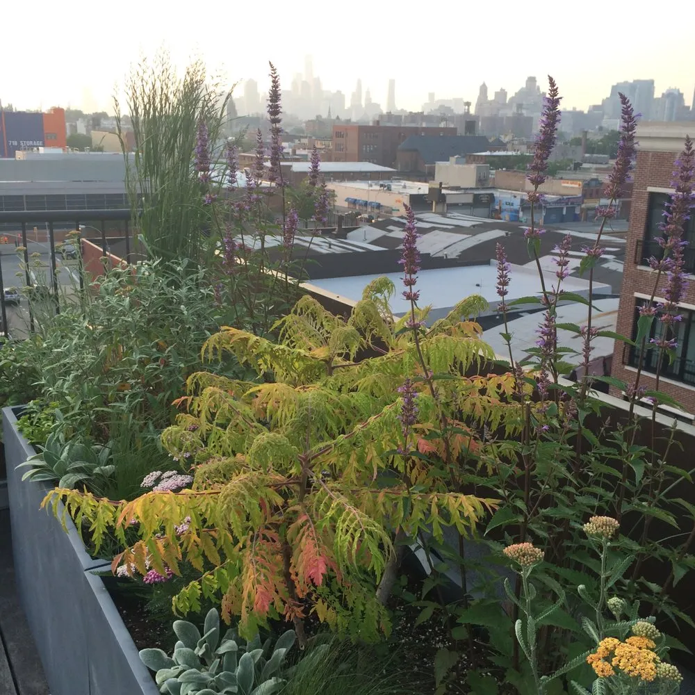 Local lawn care service near you in Brooklyn, NY by Jay Gardens