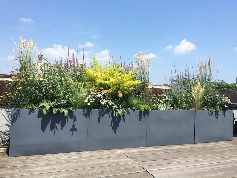 Expert yard maintenance for residential properties in Brooklyn, NY by Jay Gardens