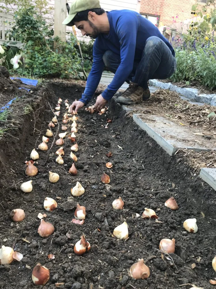 Professional garden landscaping experts serving Brooklyn, NY - Jay Gardens