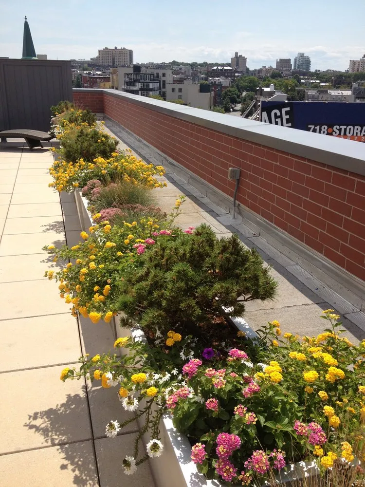 Custom lawn care service in Brooklyn, NY - Jay Gardens