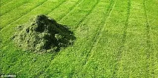 Professional yard maintenance in Jones, OK - Jay Jasper Lawn Care