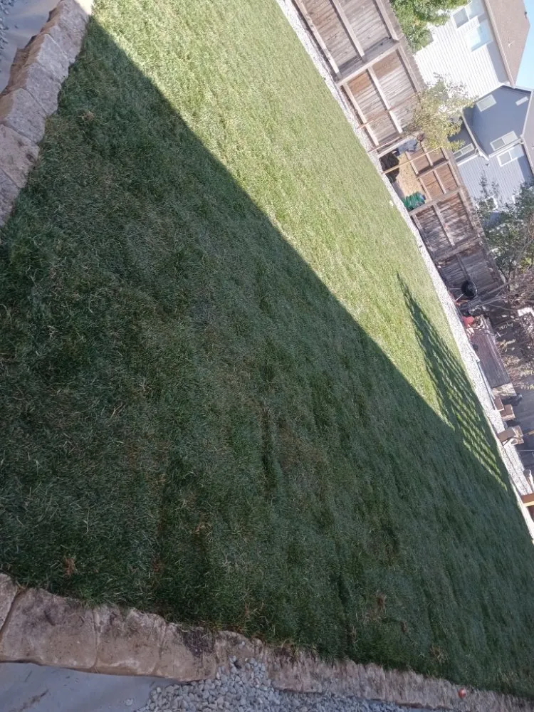 Local garden landscaping experts serving Colorado Springs, CO - Jay Jay's Land Ways