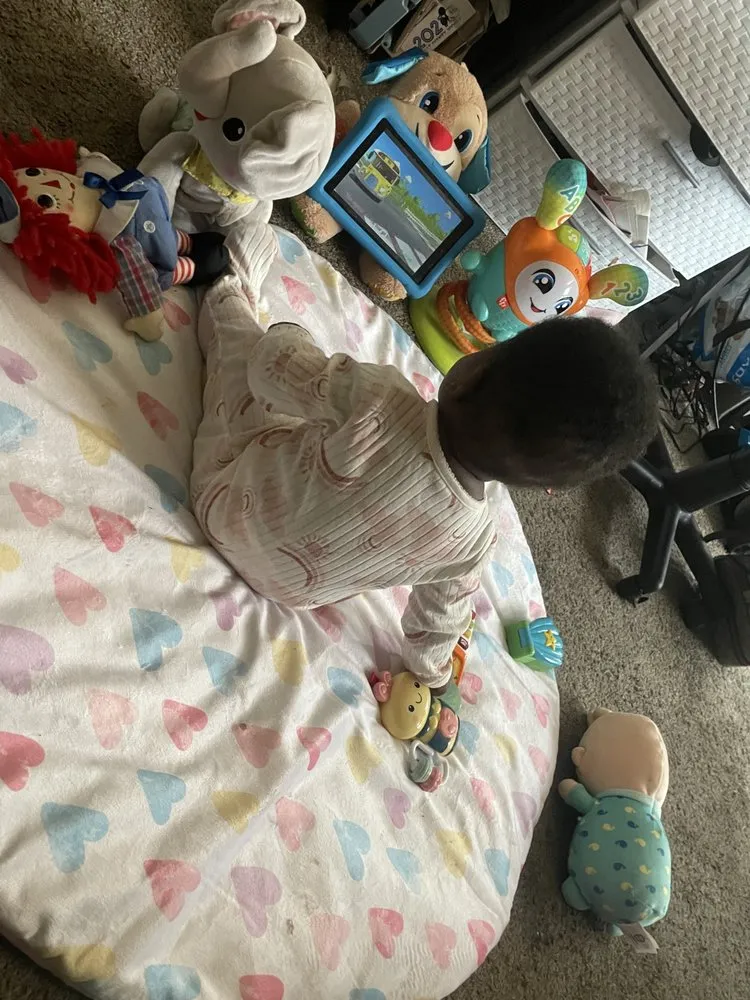 Professional yard cleanup service for homes across Detroit, MI - Jay Jays Landscaping