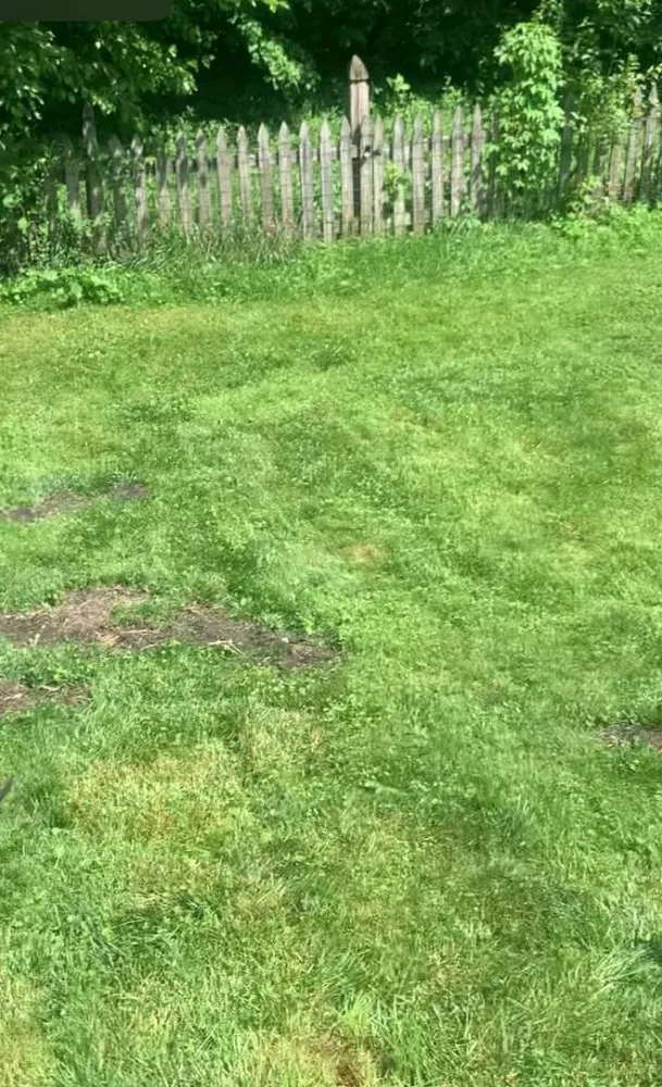 Reliable landscape design in Gaithersburg, MD by Jay Landscaping