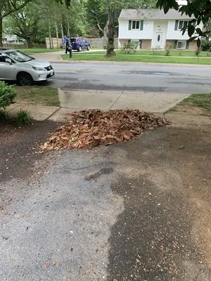 Jay Landscaping Logo