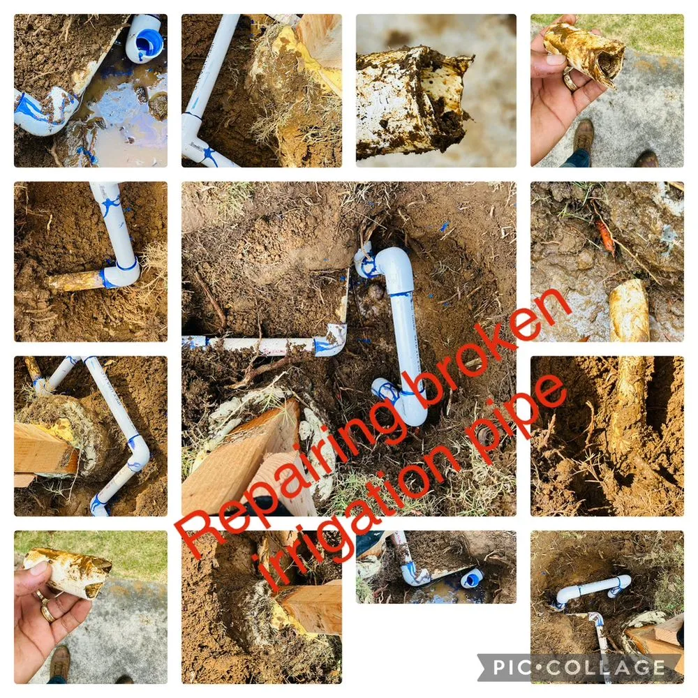 Professional yard cleanup service in Honolulu, HI - Jay Landscaping