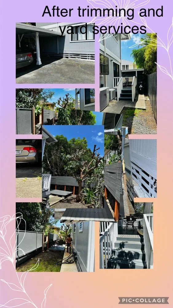 Top-rated residential landscaping experts serving Honolulu, HI - Jay Landscaping
