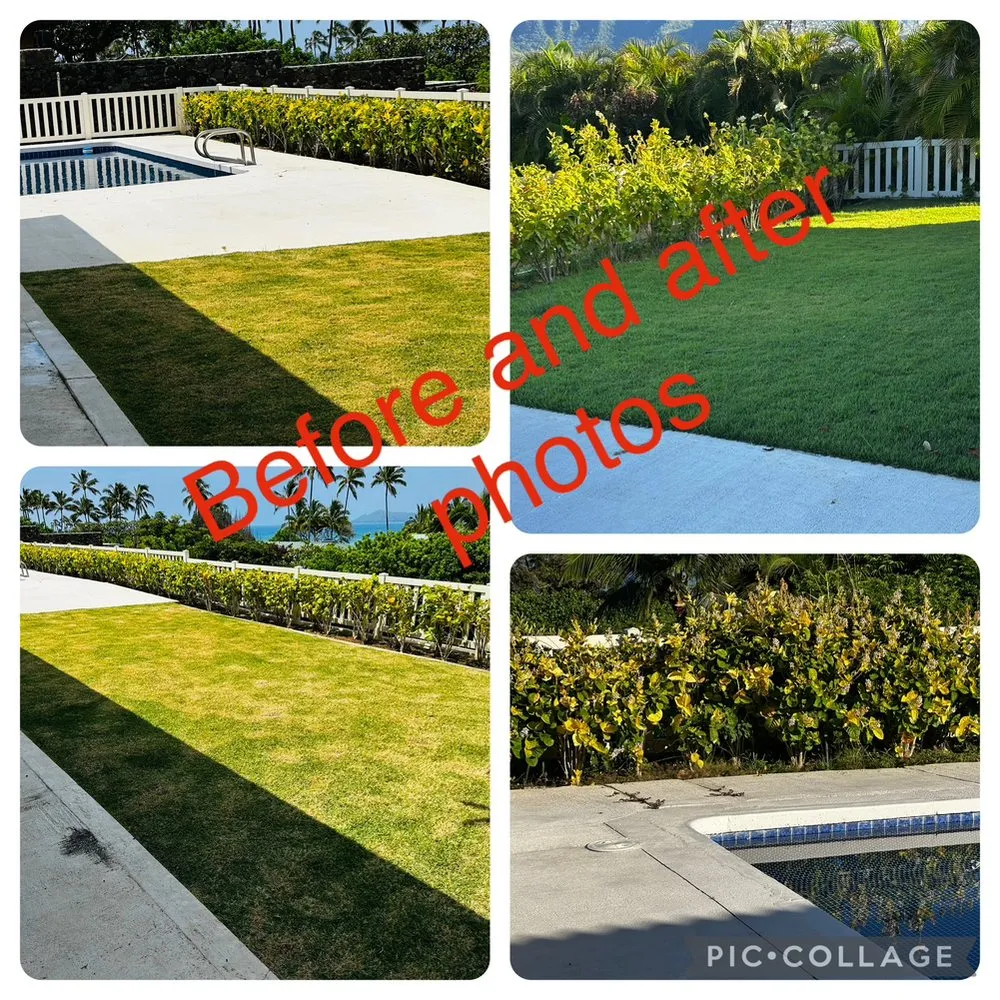 Local garden landscaping for beautiful yards across Honolulu, HI - Jay Landscaping