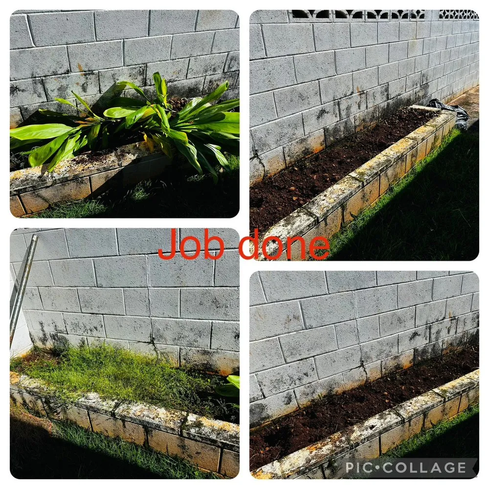 Top-rated outdoor landscaping near you in Honolulu, HI by Jay Landscaping