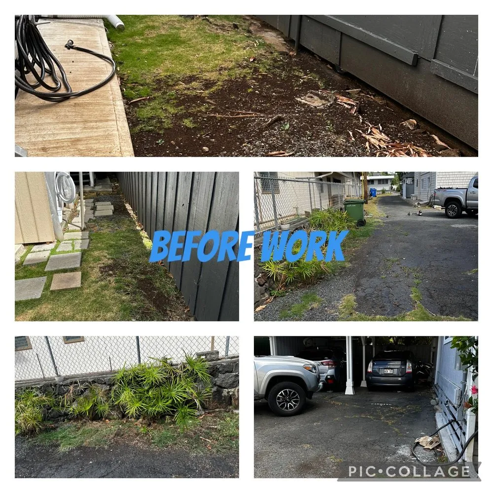 Professional lawn care service in Honolulu, HI - Jay Landscaping