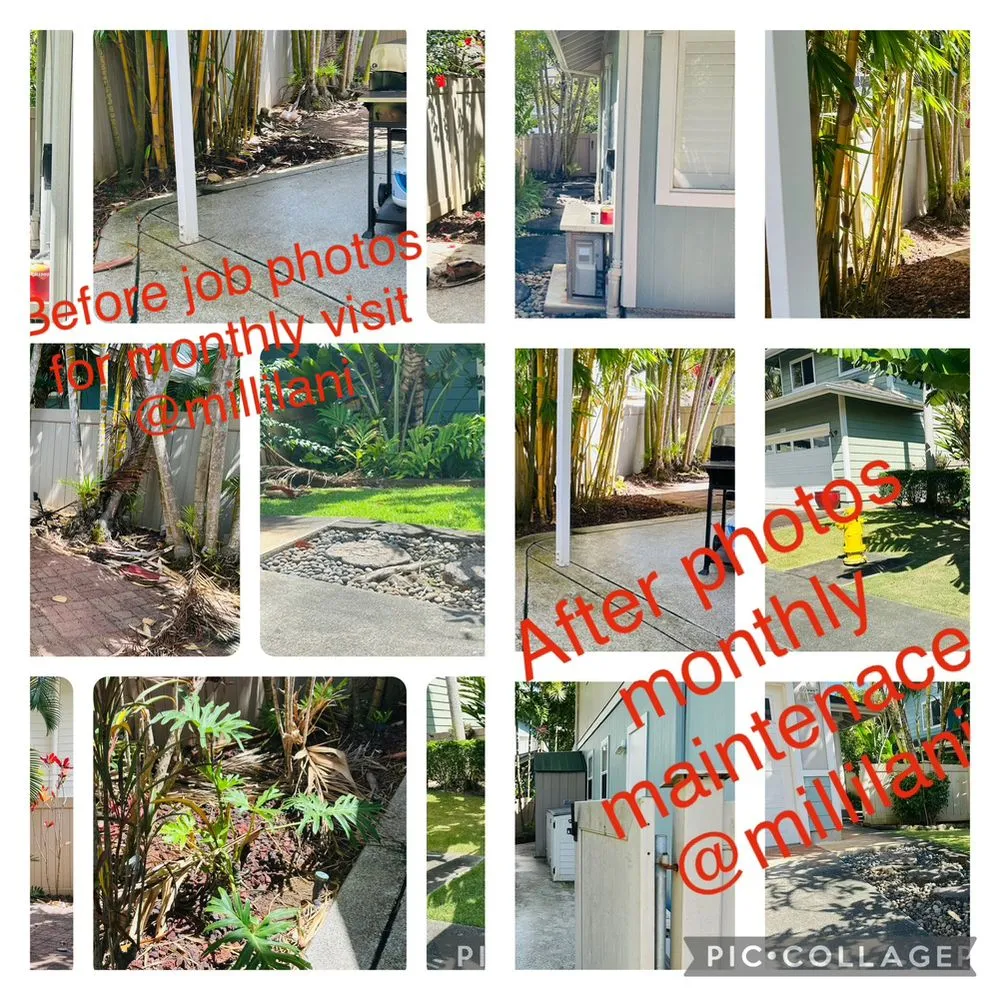 Reliable lawn care service in Honolulu, HI by Jay Landscaping