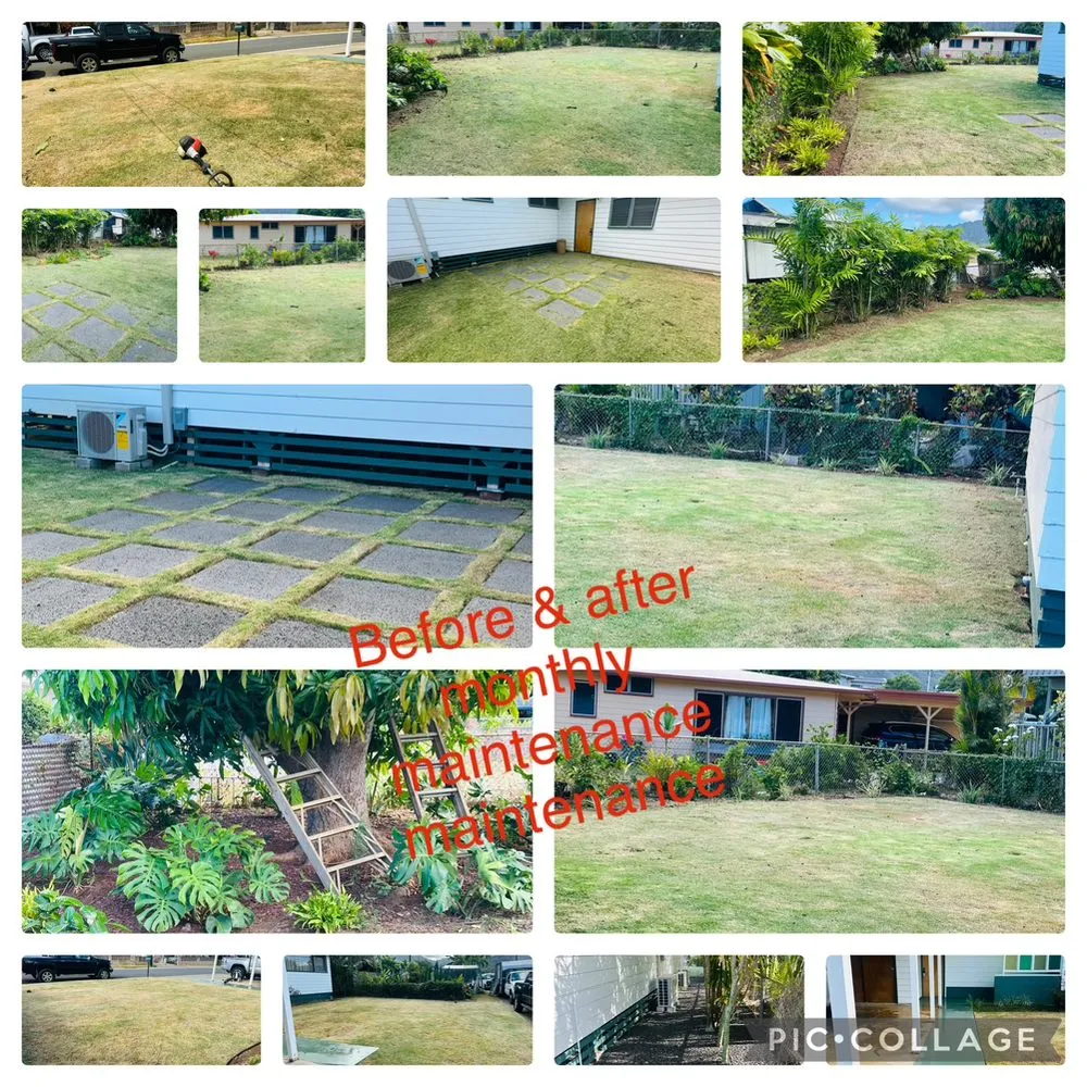 Professional yard maintenance in Honolulu, HI - Jay Landscaping