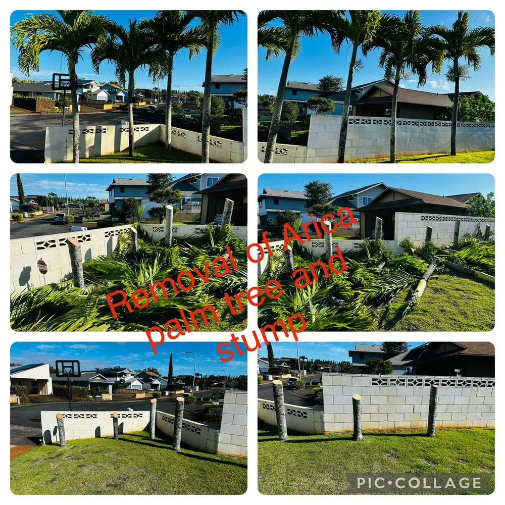 Local landscape design near you across Honolulu, HI - Jay Landscaping