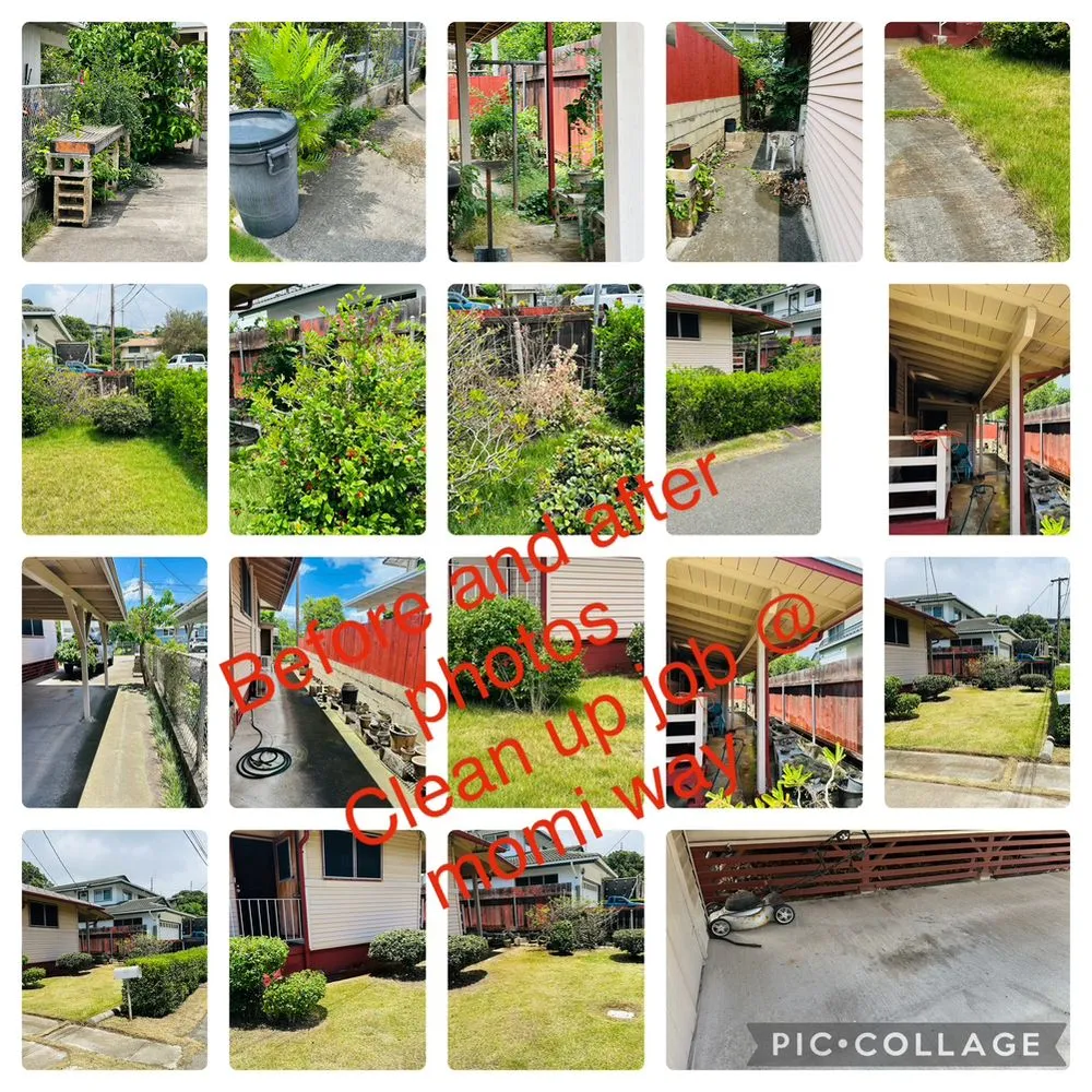 Trusted landscaping services in Honolulu, HI by Jay Landscaping