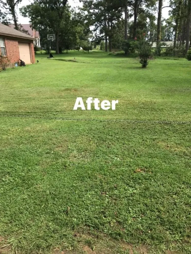 Affordable garden landscaping experts serving Quincy, FL - Jay Lawn Service And Pressure Washing