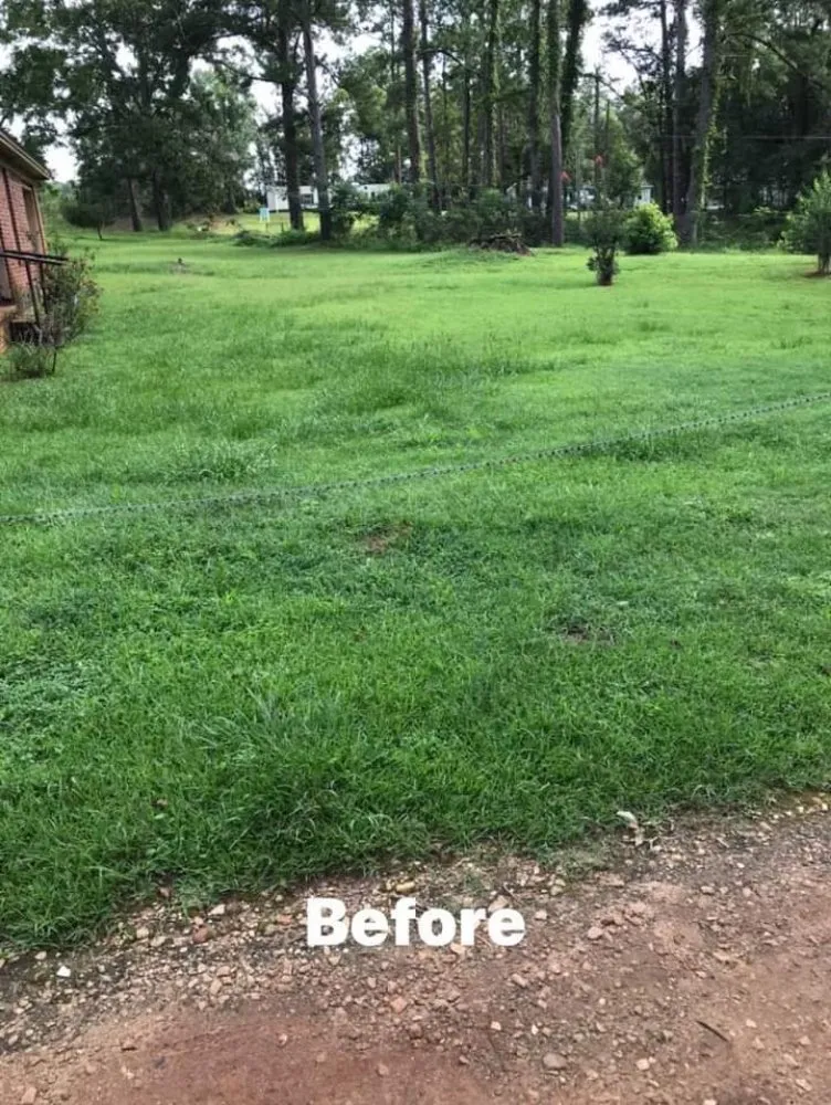 Top-rated landscape design in Quincy, FL - Jay Lawn Service And Pressure Washing