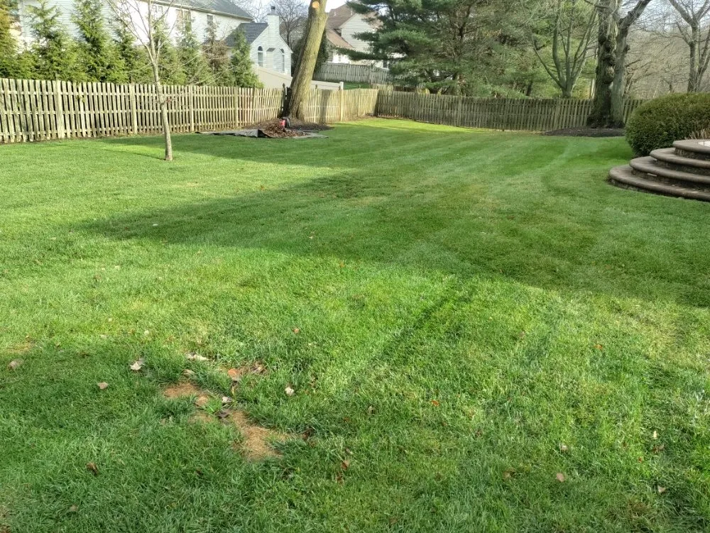 Reliable residential landscaping in Cherry Hill, NJ by Jay Lawn Service