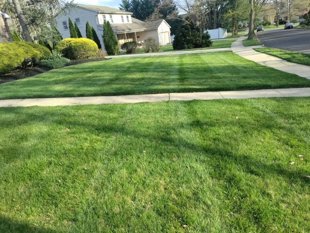 Affordable outdoor landscaping in Cherry Hill, NJ - Jay Lawn Service