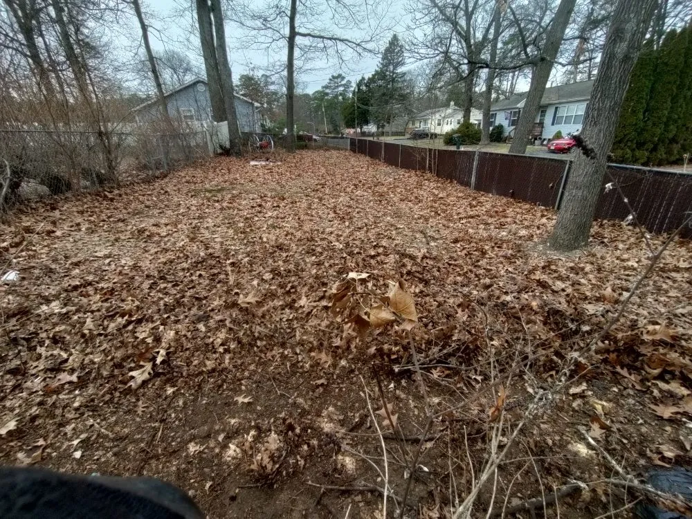 Reliable yard maintenance for homes in Cherry Hill, NJ by Jay Lawn Service