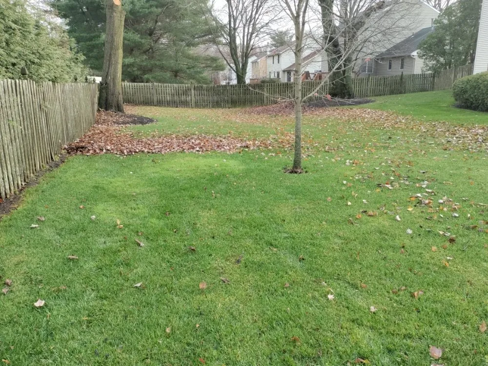 Affordable residential landscaping in Cherry Hill, NJ - Jay Lawn Service