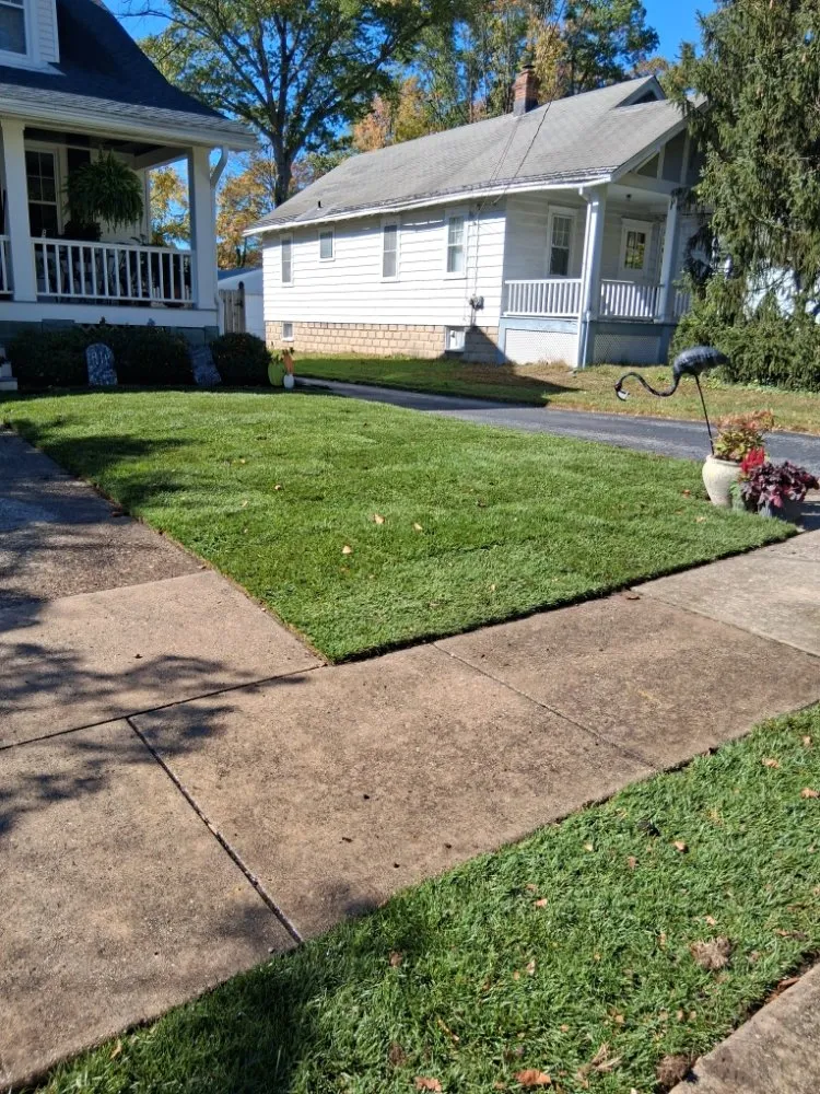 Affordable landscape installation experts serving Cherry Hill, NJ - Jay Lawn Service
