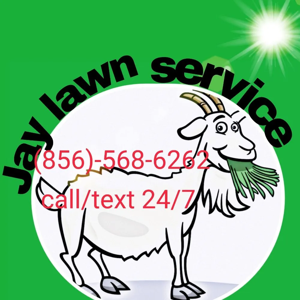 Custom yard cleanup service in Cherry Hill, NJ - Jay Lawn Service